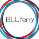 Bluferry Consulting company logo
